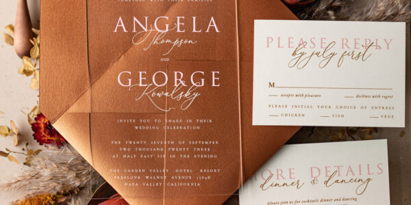 Terracotta Simple  Acrylic Wedding Invitations, Elegant Plexi Wedding Invitation Suite, Minimalistic Modern Wedding Invites, Terracotta Wedding Stationery