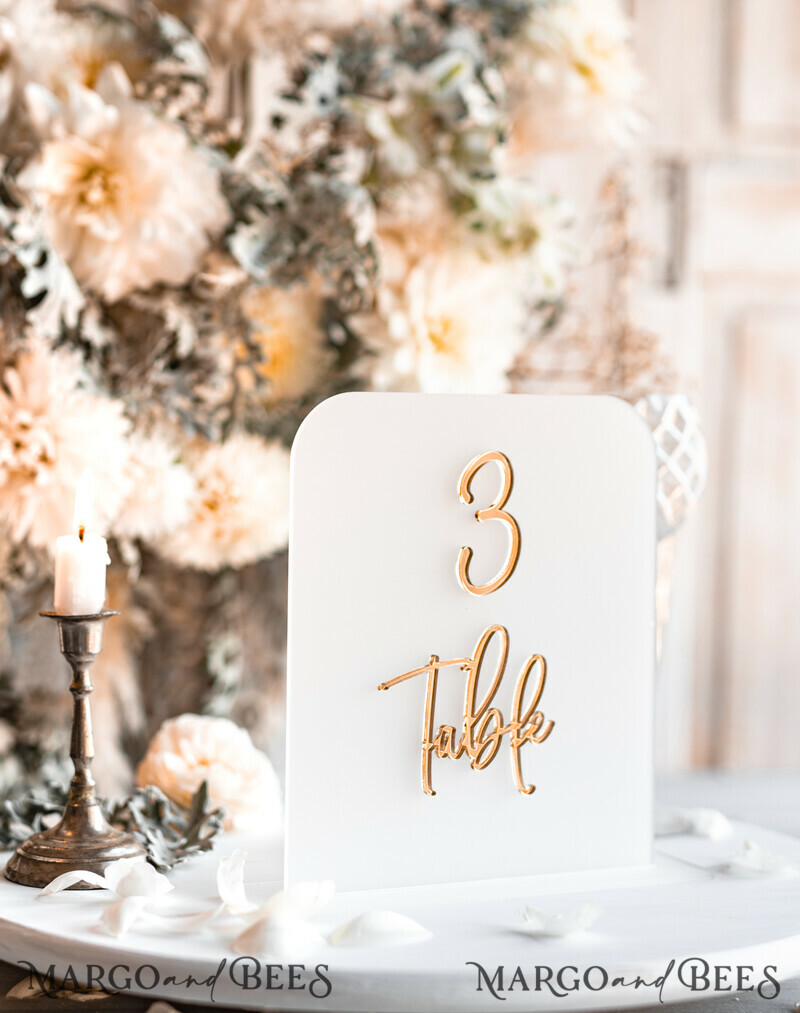Acrylic Frozen Table Numbers, Frosted Acrylic And Gold Sign, Gold Plexi Table Numbers-4